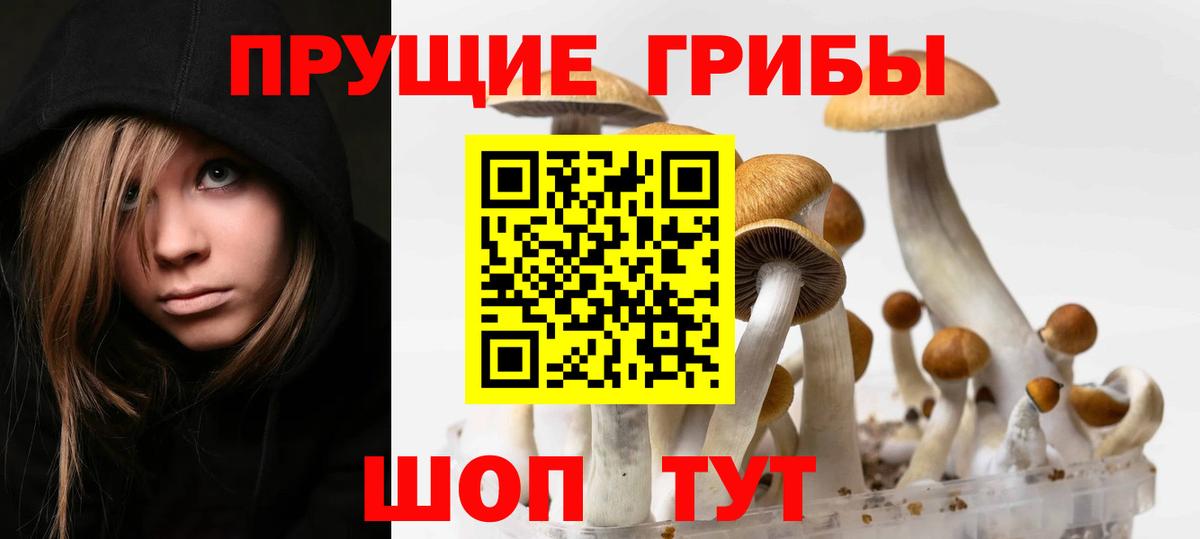 Галлюциногенные грибы MAGIC MUSHROOMS Россия