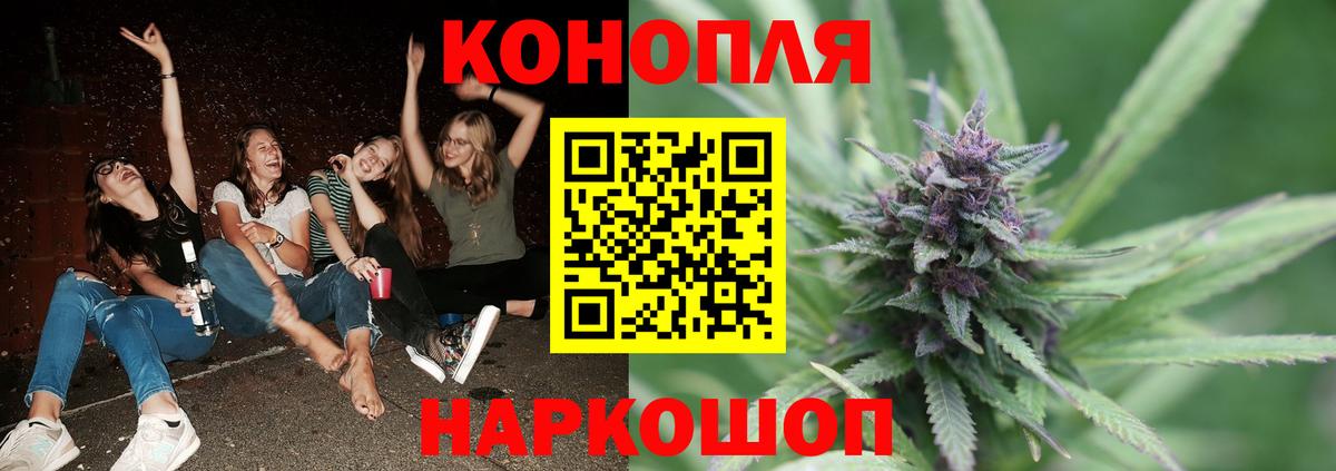 Шишки марихуана планчик  Вход с VPN  Россия  Каннабис марихуана  Марихуана план 